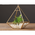 Sản phẩm mới Terrarium treo kính hình học trong nhà